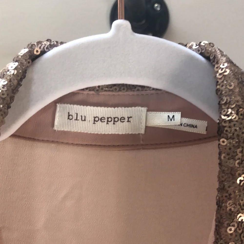 Blu Pepper Sheer Glitter Blouse - Picture 8 of 9